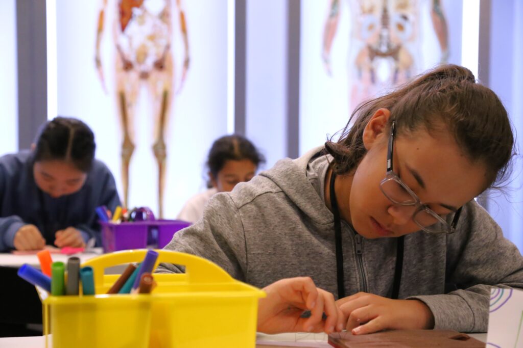 health museum summer camp suturing