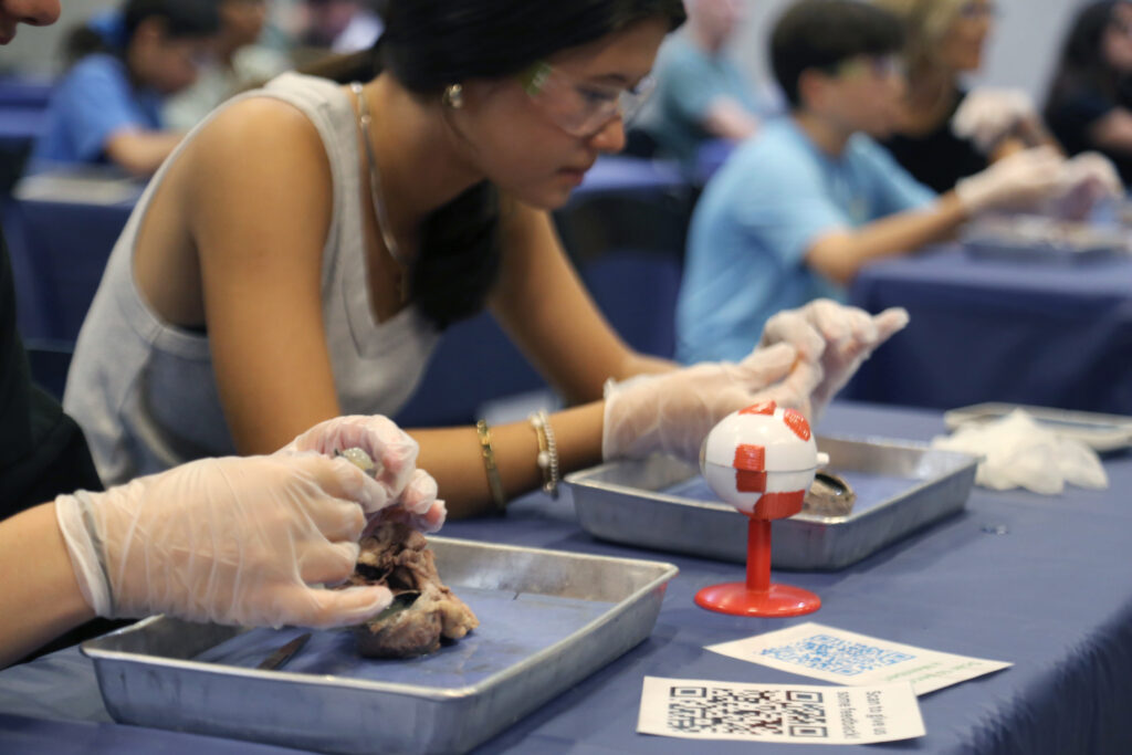 health museum doc dissection