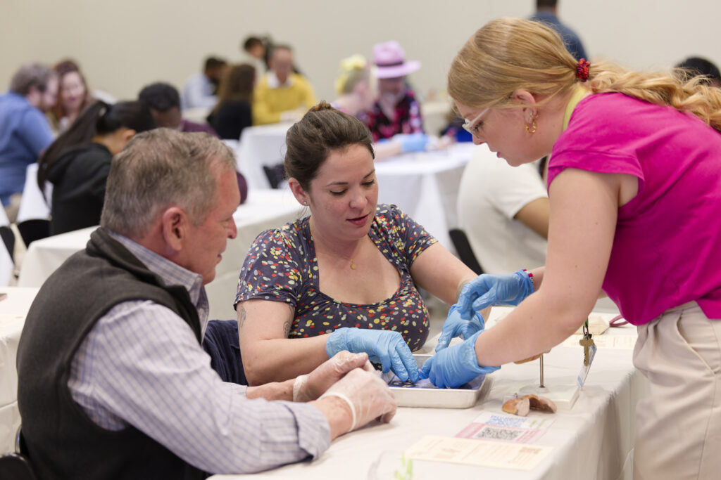 health museum doc dissection