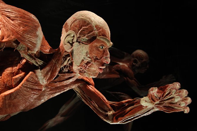 body worlds preview