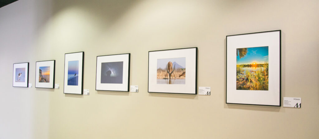 quiet wonders at the health museum